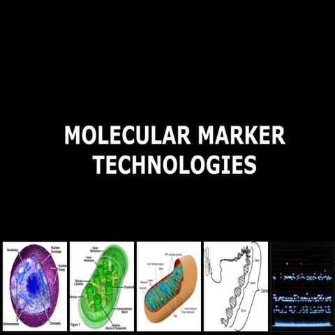 Molecular Marker Techniques