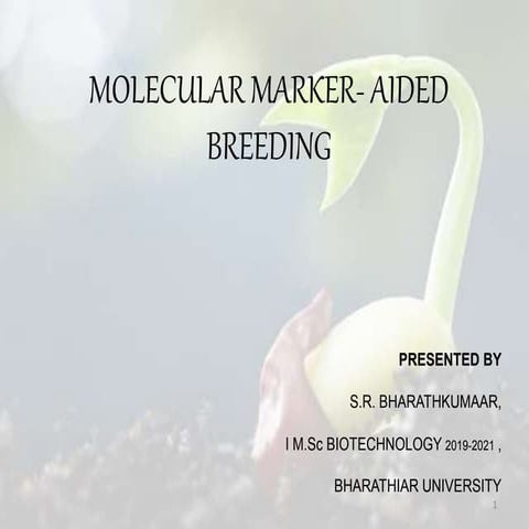 MOLECULAR MARKER AIDED BREEDING.pptx
