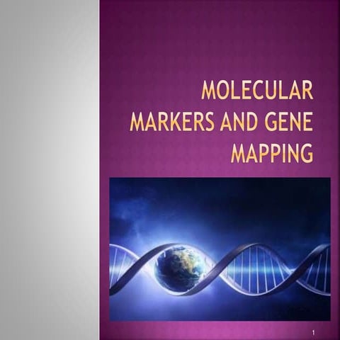 Molecular marker and gene  mapping