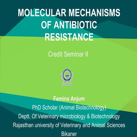 Molecular mechanism of antibiotic resistance