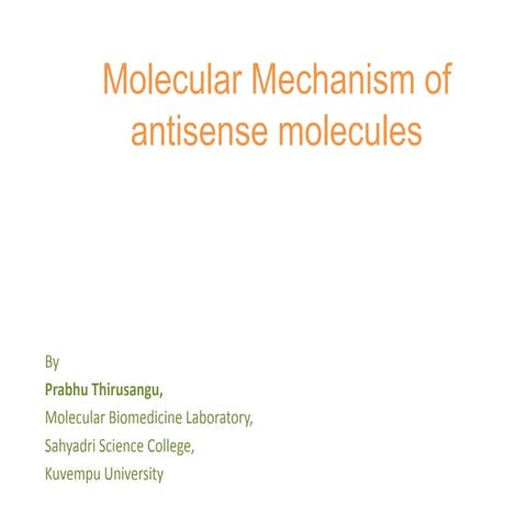 Molecular mechanism of antisense molecules