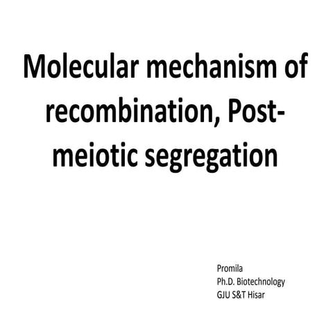 Molecular mechanism of recombination, post meiotic segregation