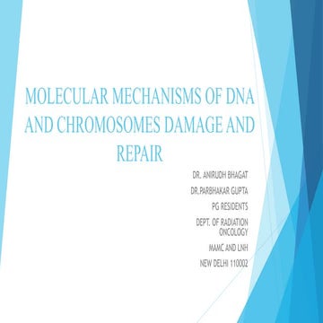 M MOLECULAR MECHANISM OF DNA AND CHROMOSOMES DAMAGE AND REPAIR | PPTX