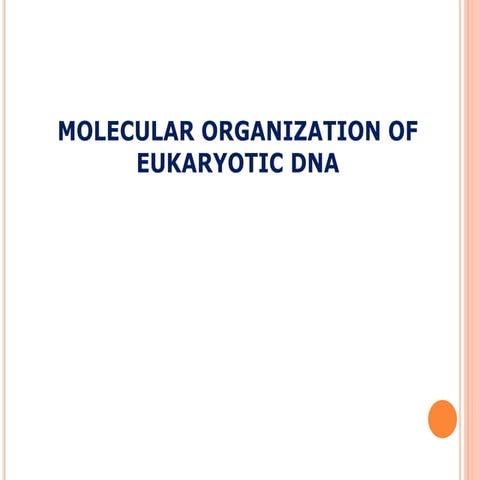 Molecular organization of eukaryotic DNA