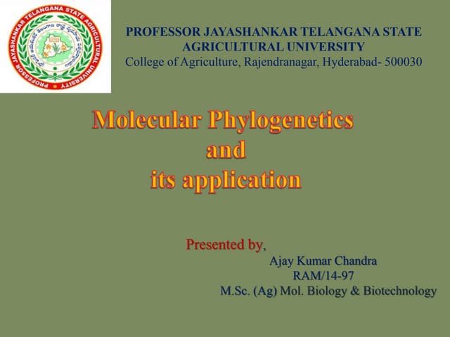 Molecular phylogenetics