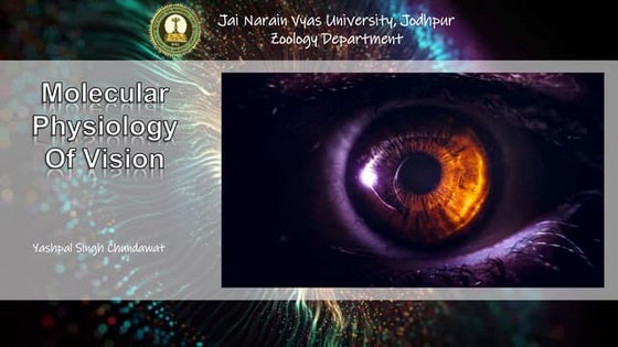 Physiology of Vision.ppt | Eye and Vision Conditions | Diseases and ...