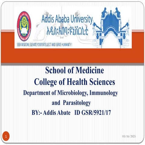 Molecular biology assignment power point preparation