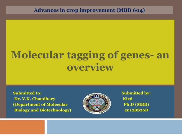 molecular tagging