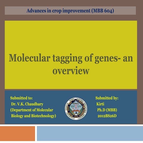 Molecular tagging 