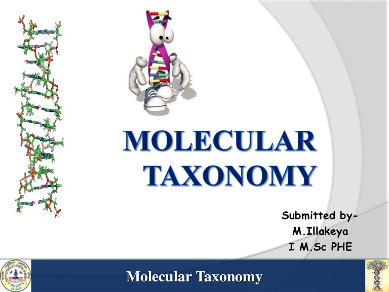 Molecular taxonomy