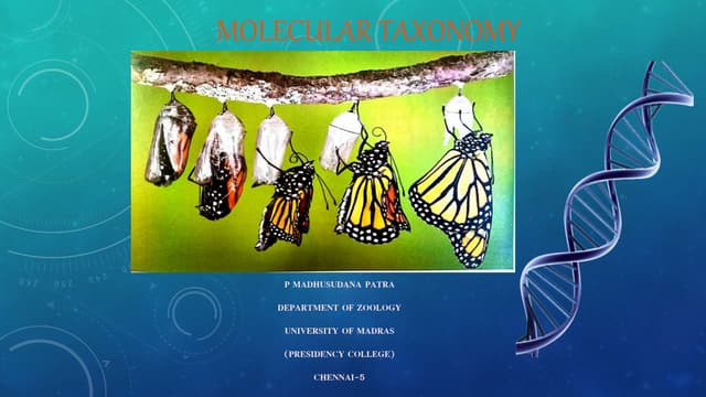 Molecular taxonomy