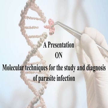 Molecular techniques for the study and diagnosis of parasite infection
