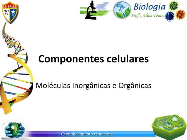 Moleculas organicas e inorganicas
