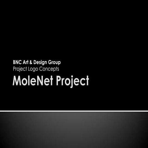 Mole Net Logo Presentation
