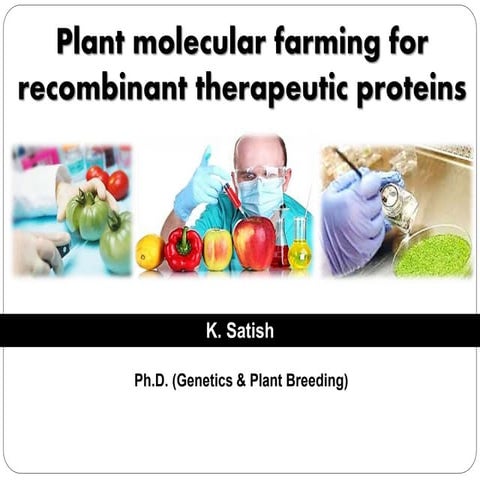 Plant molecular farming for recombinant therapeutic proteins