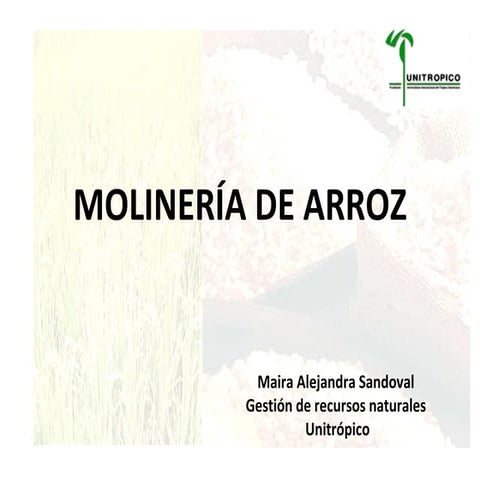 Molineria De Arroz