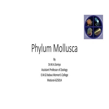 Mollusca.pptx