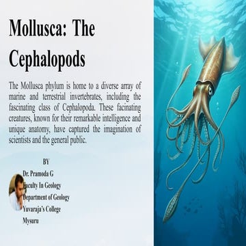The Cephalopods (Mollusca)- Palaeontology