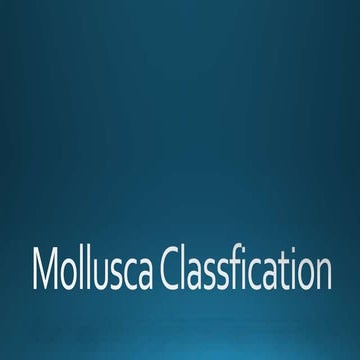 Mollusca classfication