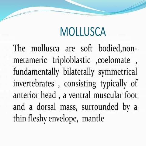 Clear Concept in Phylum Mollusca 