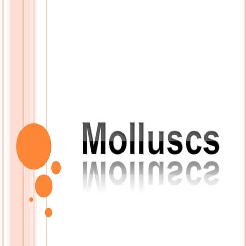 Molluscs