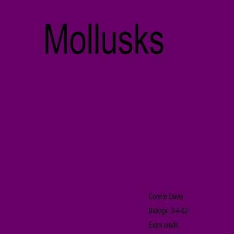 Mollusks