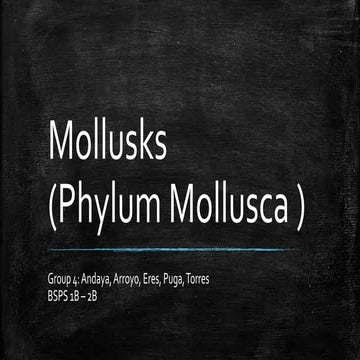 Mollusks