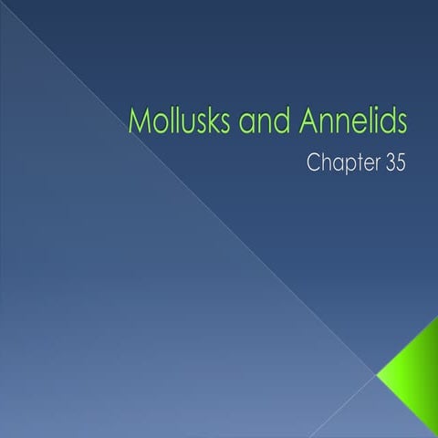 Mollusks and annelids