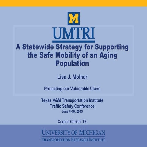 A Statewide Strategy for Supporting the Safe Mobility of an Aging Population