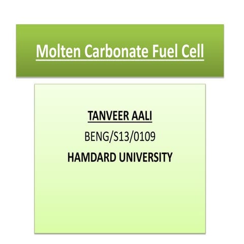 Molten carbonate fuel cell