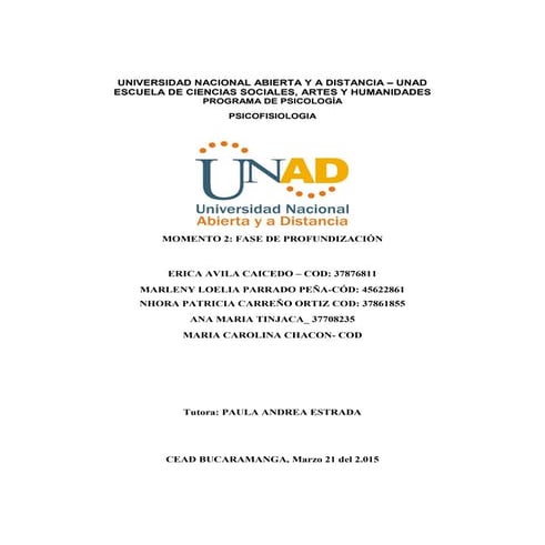 Momento  2 403005 79