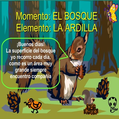 Momento El Bosque Ardilla