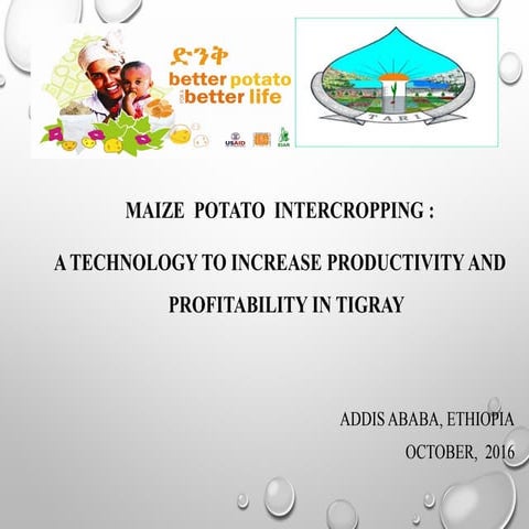 Monday theme 3 1430 1445 room 2 beyenesh