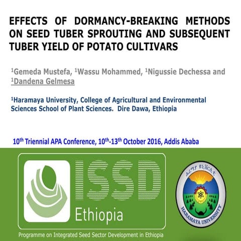 Theme 3: Effect of dormancy-breaking methods on seed tuber sprouting ...
