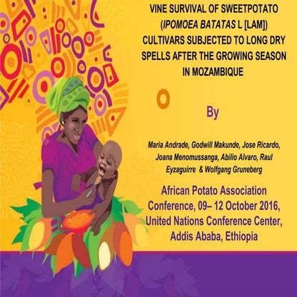 Theme 3: Vine survival of sweetpotato [Ipomoea batatas (L.) Lam.] cultivars s...