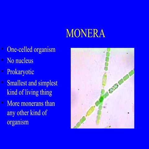 Monera