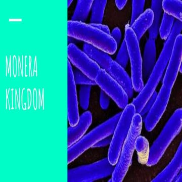 Monera kingdom
