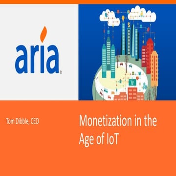 Monetization Strategies For The Internet Of Things 
