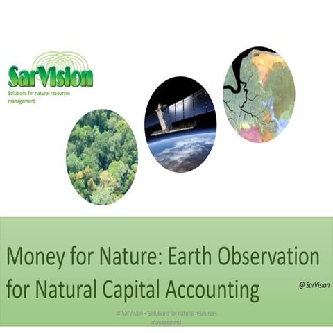 Money for Nature: Earth Observation for Natural Capital Accounting