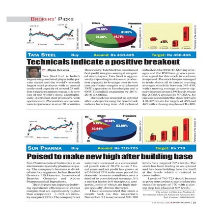 Trading Picks of Marwah Financial (January 2013)
