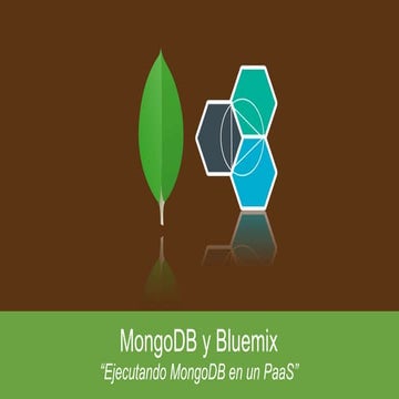 MongoDB y bluemix