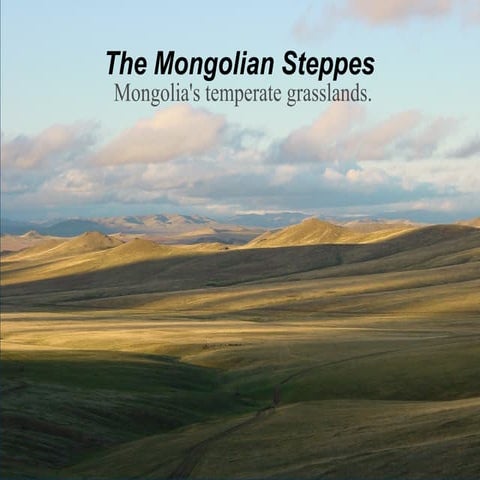 Mongolia presentation