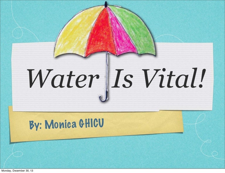 Water Project for Grade 3 Water Cycle, Water Waste, Conservation.