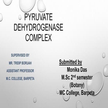 Pyruvate Dehydrogenase complex and its significance