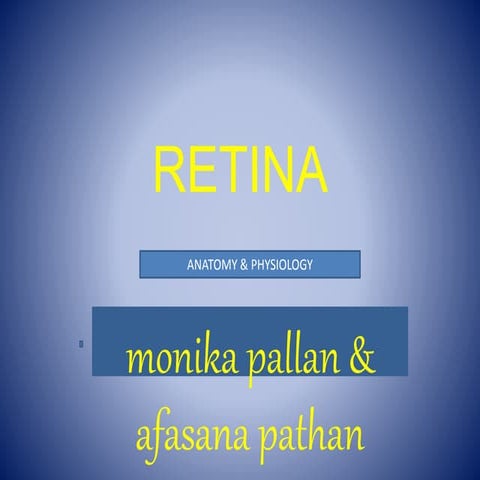 RETINA - anatomy & physiology