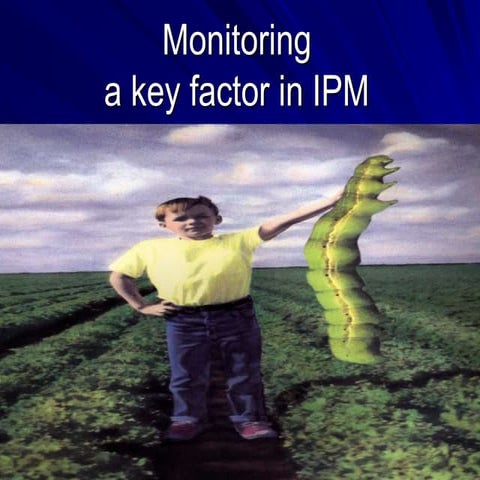 IPM- Monitoring