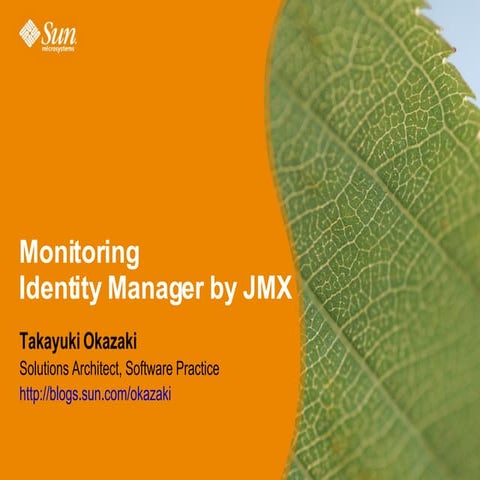 Monitoring Identity Manager by JMX