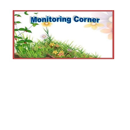 Monitoring corner for classroom 