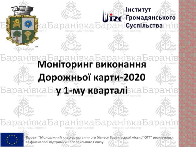 Моніторинг виконання Дорожньої карти-2020 Баранівської ОТГ у 1-му кварталі