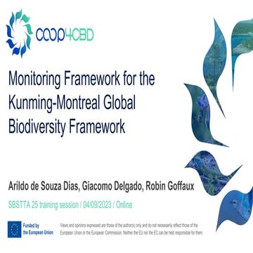 Monitoring Framework for the KMGBF.PDF